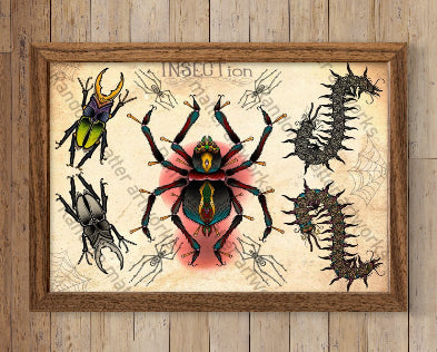 INSECTS